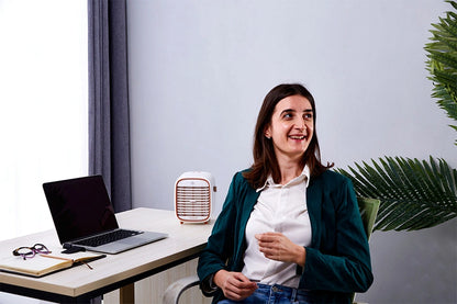 QT3 Portable Air Purifier